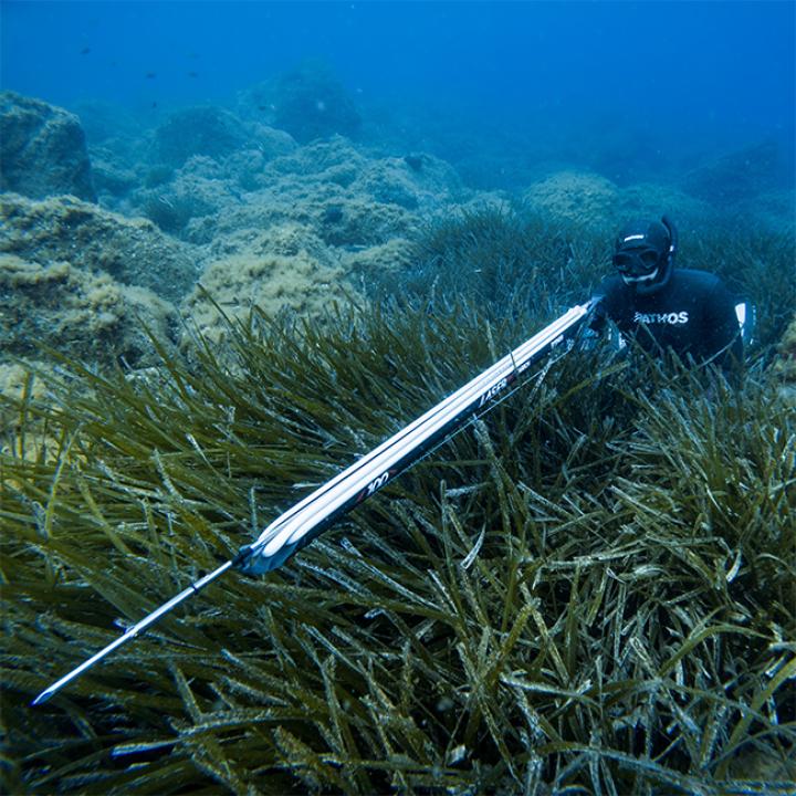 SpearPro EVO Travel Carbon Fiber Polespear 9 feet - American Dive Company